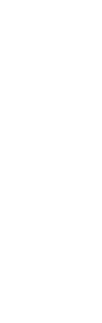 罪悪感なしの、充実感がある。